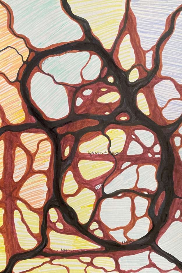 Expressive neurographic drawing with vivid colors and flowing lines representing a journey of self-discovery.