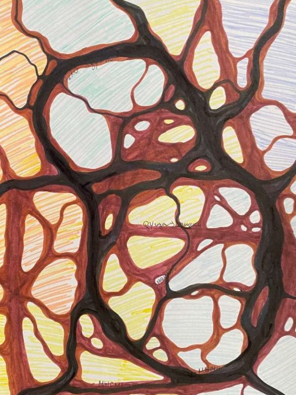 Expressive neurographic drawing with vivid colors and flowing lines representing a journey of self-discovery.