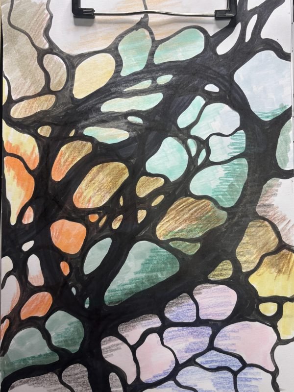 IMG_6457-min A colorful abstract drawing created using the Neurographica method. The artwork features organic, branching black lines that form enclosed, cell-like shapes filled with soft gradients of color. Shades of turquoise, orange, gold, lavender, peach, and green fill the spaces between the black lines, creating a dynamic, interconnected web-like structure. The background is lightly shaded in a mix of pastel tones, contributing to a sense of flow and emotional expression. The image is held on a clipboard with a visible metal clip at the top. Remove limiting beliefs by drawing the algorithm for removing limitations.